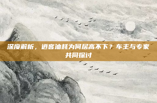 深度解析,逍客油耗为何居高不下?车主与专家共同探讨