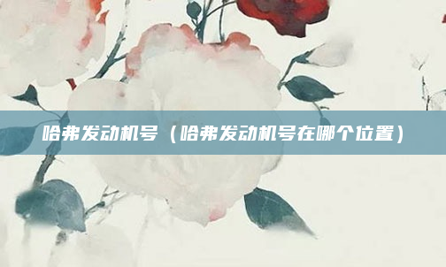 哈弗发动机号（哈弗发动机号在哪个位置）