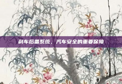 刹车后备系统，汽车安全的重要保障