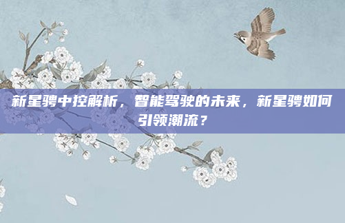新星骋中控解析,智能驾驶的未来,新星骋如何引领潮流?