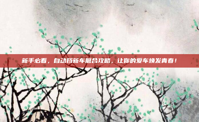 新手必看,自动挡新车磨合攻略,让你的爱车焕发青春!