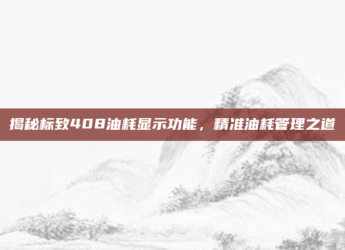 揭秘标致408油耗显示功能,精准油耗管理之道