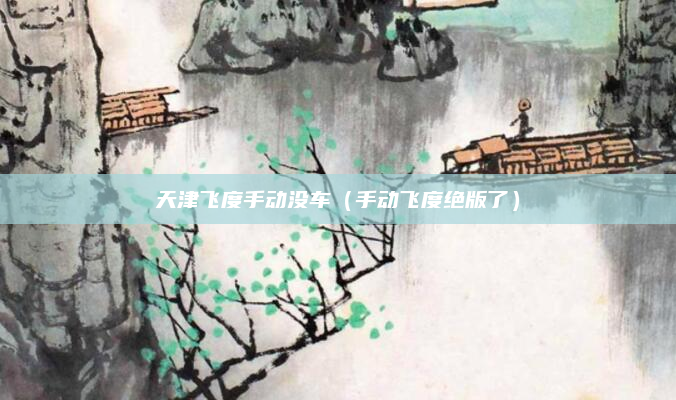 天津飞度手动没车（手动飞度绝版了）