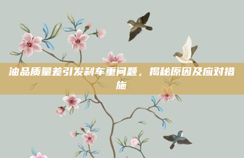 油品质量差引发刹车重问题,揭秘原因及应对措施