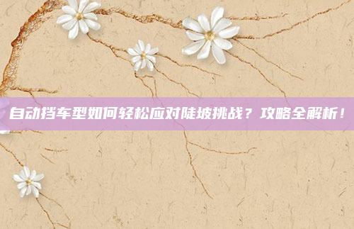 自动挡车型如何轻松应对陡坡挑战?攻略全解析!