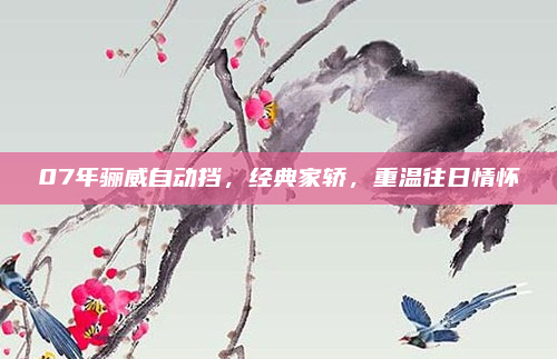 07年骊威自动挡，经典家轿，重温往日情怀