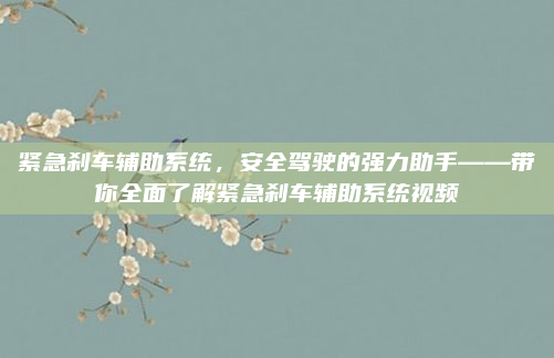 紧急刹车辅助系统，安全驾驶的强力助手——带你全面了解紧急刹车辅助系统视频