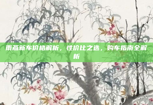 雨燕新车价格解析,性价比之选,购车指南全解析