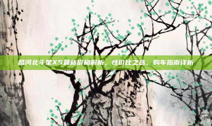 昌河北斗星X5最新价格解析，性价比之选，购车指南详析