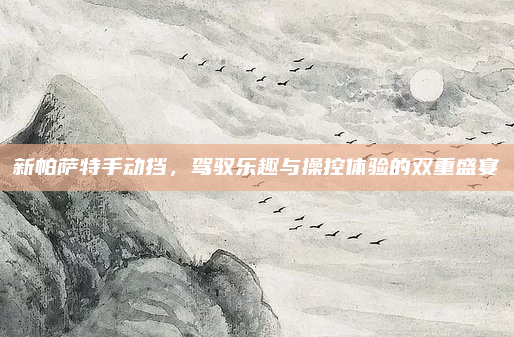 新帕萨特手动挡，驾驭乐趣与操控体验的双重盛宴