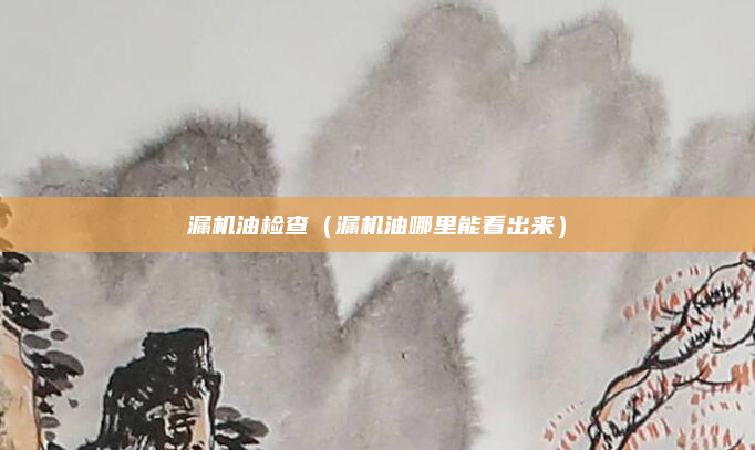 漏机油检查（漏机油哪里能看出来）