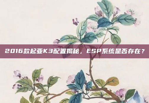 2016款起亚K3配置揭秘，ESP系统是否存在？