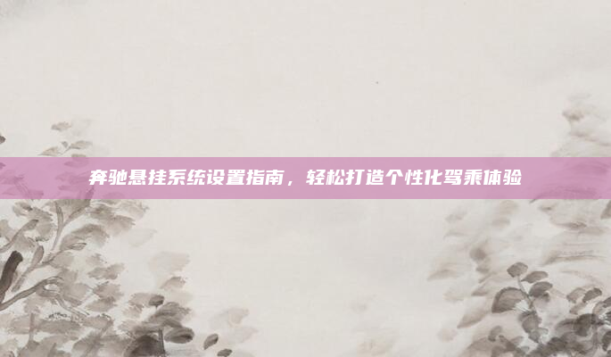 奔驰悬挂系统设置指南，轻松打造个性化驾乘体验