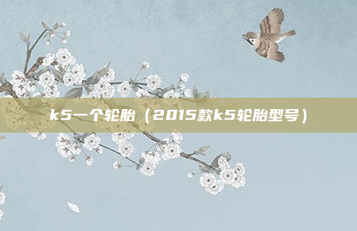 k5一个轮胎（2015款k5轮胎型号）