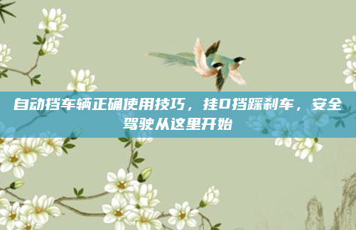 自动挡车辆正确使用技巧,挂D挡踩刹车,安全驾驶从这里开始