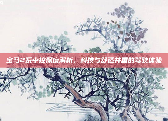 宝马2系中控深度解析,科技与舒适并重的驾驶体验