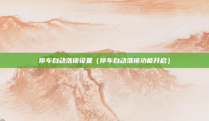 停车自动落锁设置（停车自动落锁功能开启）