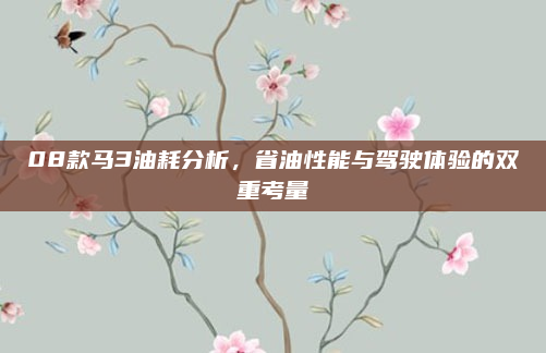08款马3油耗分析,省油性能与驾驶体验的双重考量