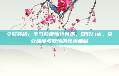 全新亮相！宝马敞篷惊艳登场，驾驭自由，享受速度与激情的完美结合