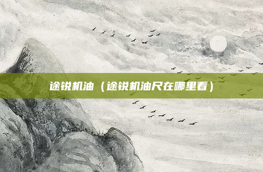 途锐机油（途锐机油尺在哪里看）