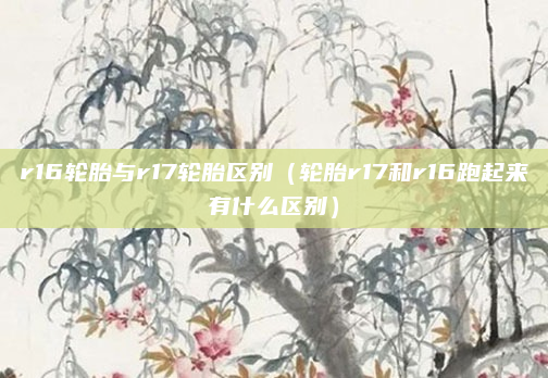 r16轮胎与r17轮胎区别(轮胎r17和r16跑起来有什么区别)