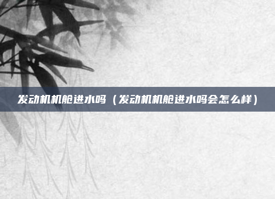 发动机机舱进水吗（发动机机舱进水吗会怎么样）