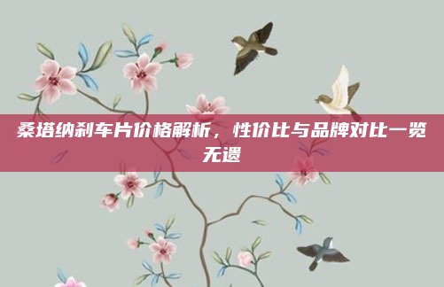 桑塔纳刹车片价格解析，性价比与品牌对比一览无遗