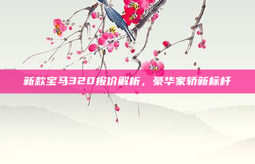新款宝马320报价解析，豪华家轿新标杆