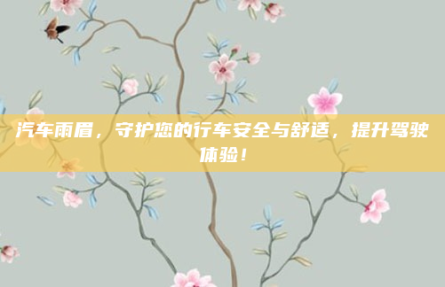 汽车雨眉，守护您的行车安全与舒适，提升驾驶体验！