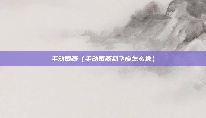 手动雨燕（手动雨燕和飞度怎么选）