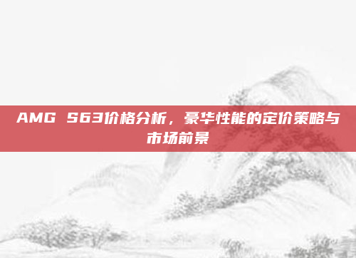 AMG S63价格分析,豪华性能的定价策略与市场前景
