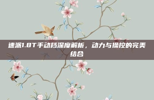 速派1.8T手动档深度解析，动力与操控的完美结合