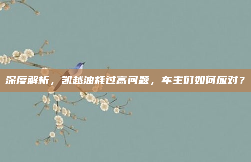 深度解析，凯越油耗过高问题，车主们如何应对？