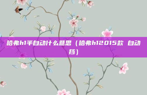 哈弗h1半自动什么意思（哈弗h12015款 自动挡）