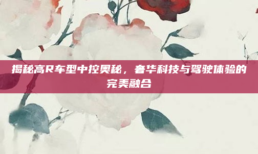 揭秘高R车型中控奥秘，奢华科技与驾驶体验的完美融合