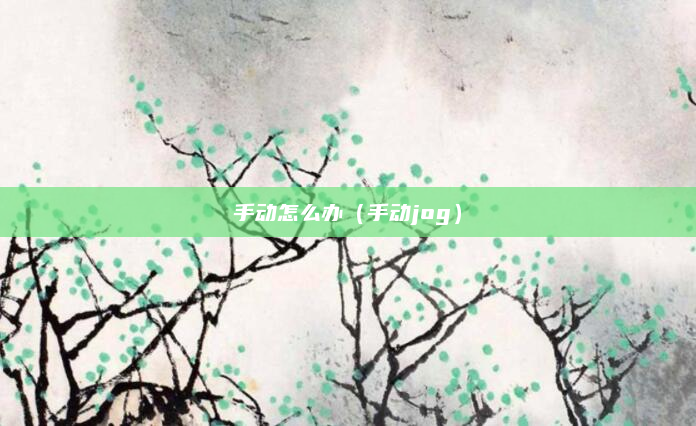 手动怎么办（手动jog）