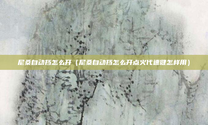 尼桑自动挡怎么开（尼桑自动挡怎么开点火代速健怎样用）