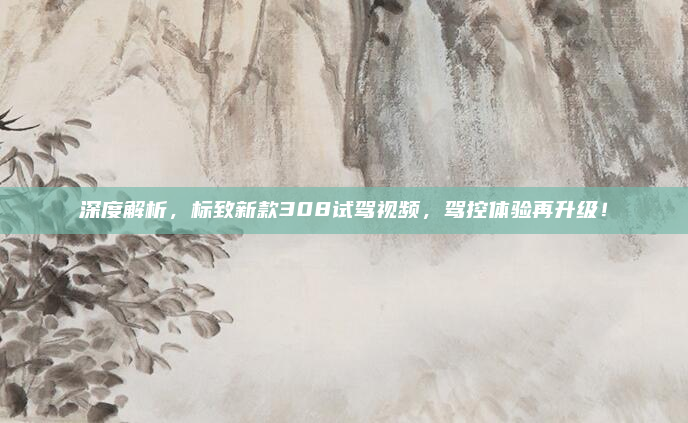 深度解析,标致新款308试驾视频,驾控体验再升级!