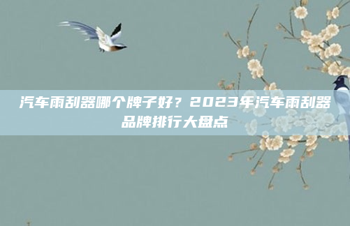 汽车雨刮器哪个牌子好？2023年汽车雨刮器品牌排行大盘点
