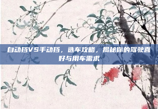 自动挡VS手动挡，选车攻略，揭秘你的驾驶喜好与用车需求