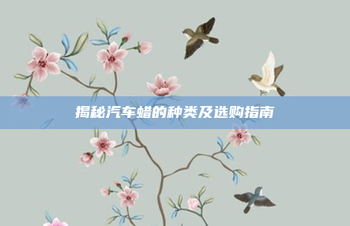 揭秘汽车蜡的种类及选购指南