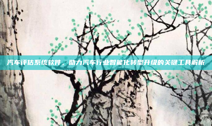 汽车评估系统软件,助力汽车行业智能化转型升级的关键工具解析