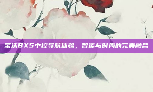 宝沃BX5中控导航体验,智能与时尚的完美融合