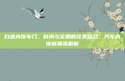 白色内饰车门，时尚与实用的完美结合，汽车内饰新潮流解析