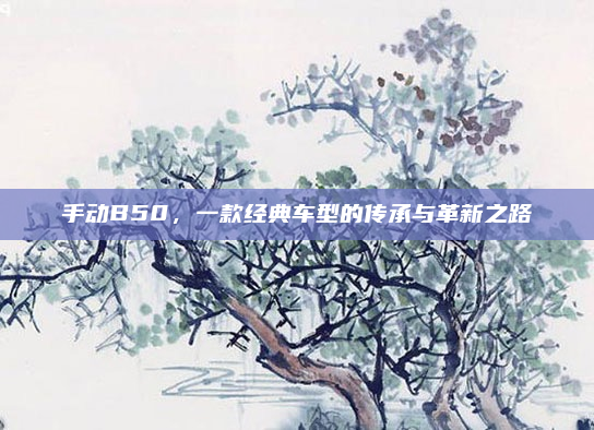 手动B50，一款经典车型的传承与革新之路