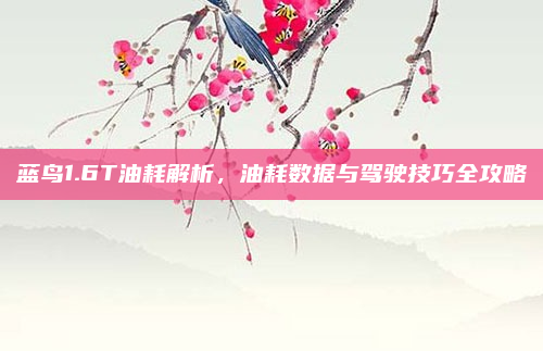 蓝鸟1.6T油耗解析，油耗数据与驾驶技巧全攻略