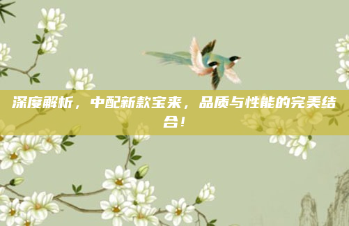 深度解析，中配新款宝来，品质与性能的完美结合！