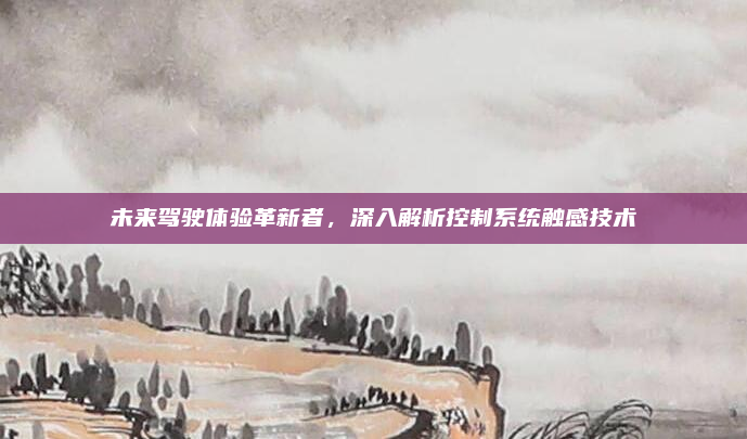 未来驾驶体验革新者,深入解析控制系统触感技术