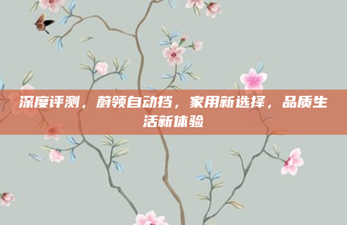 深度评测,蔚领自动挡,家用新选择,品质生活新体验