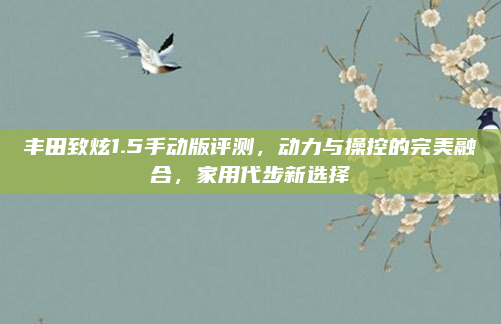 丰田致炫1.5手动版评测，动力与操控的完美融合，家用代步新选择